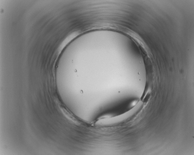 X0000064731242200603131245