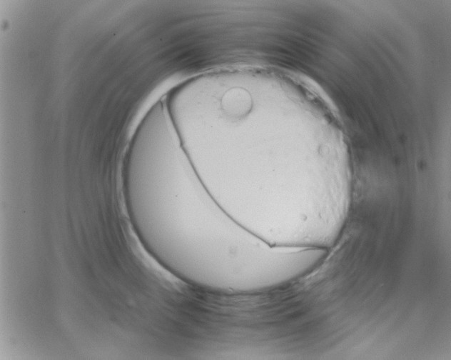 X0000064731243200603131245