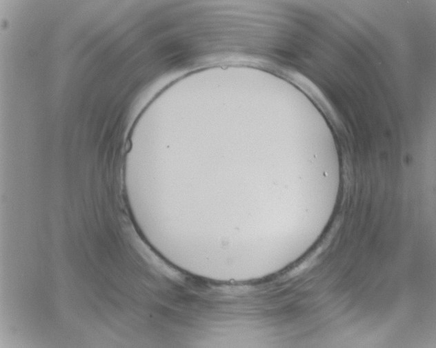 X0000064731244200603131245