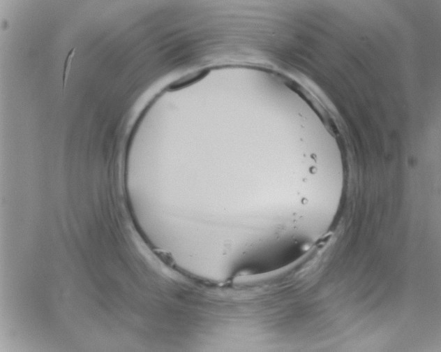 X0000064731246200603131245