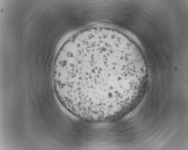 X0000064731247200603131245