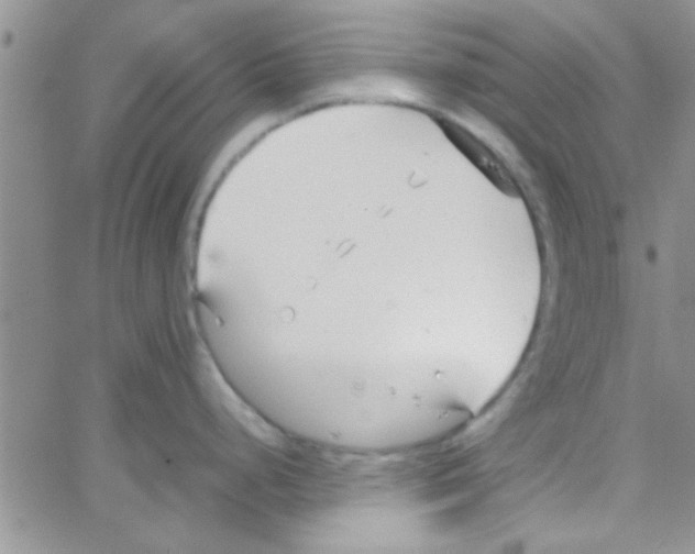 X0000064731248200603131245