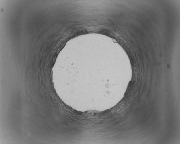 X0000064731249200603131244