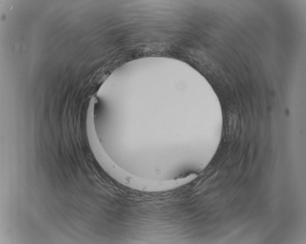 X0000064731250200603131244