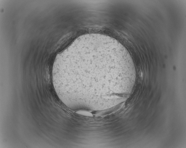 X0000064731252200603131244