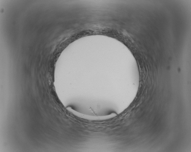 X0000064731253200603131244