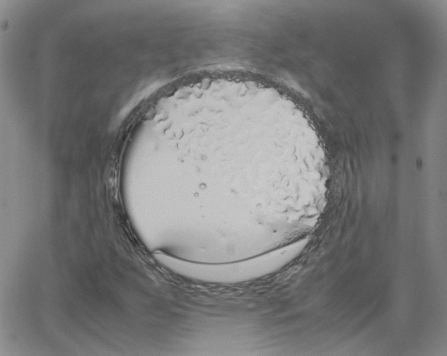 X0000064731255200603131244