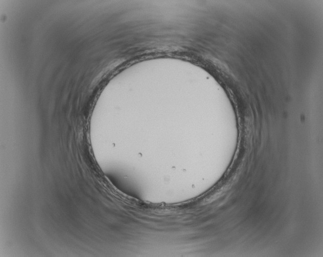 X0000064731257200603131244