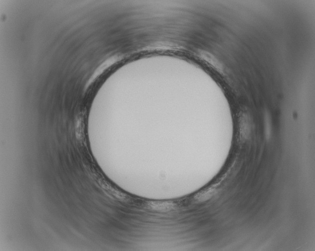 X0000064731258200603131244