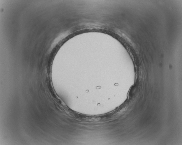 X0000064731261200603131244