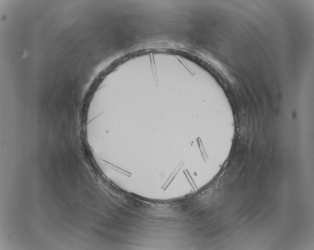 X0000064731264200603131244