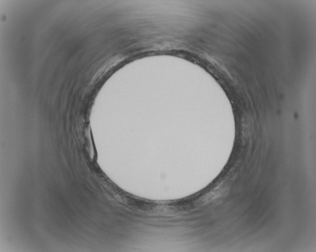 X0000064731265200603131244