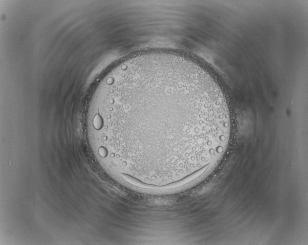 X0000064731266200603131244