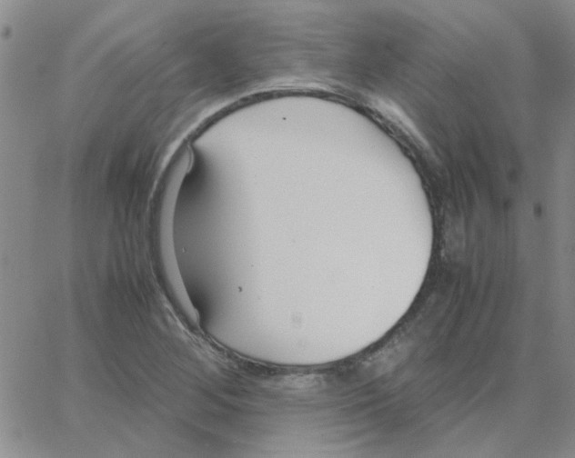 X0000064731268200603131244