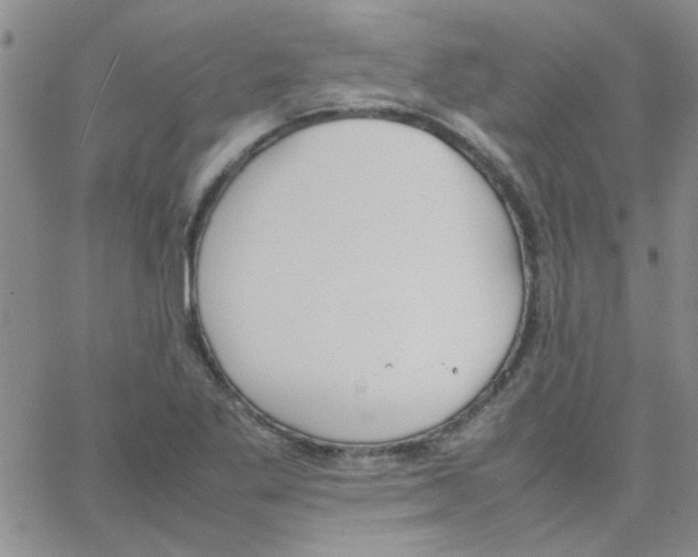 X0000064731269200603131244