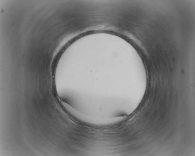 X0000064731270200603131244