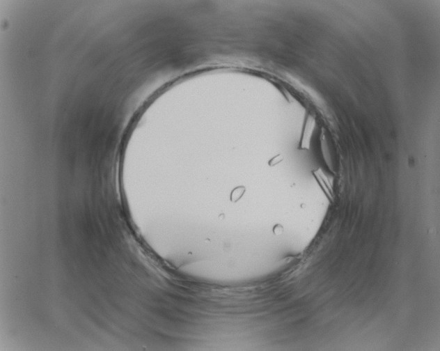 X0000064731272200603131244