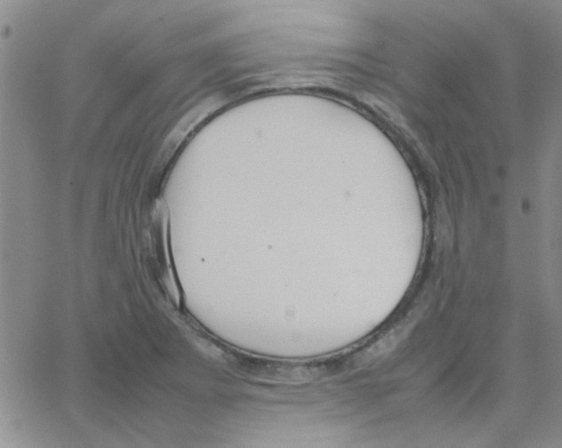 X0000064731273200603131244