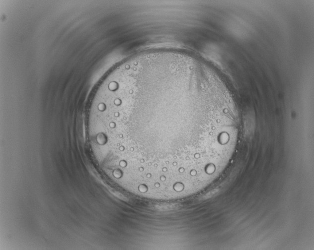 X0000064731274200603131244