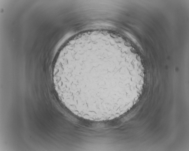 X0000064731275200603131244