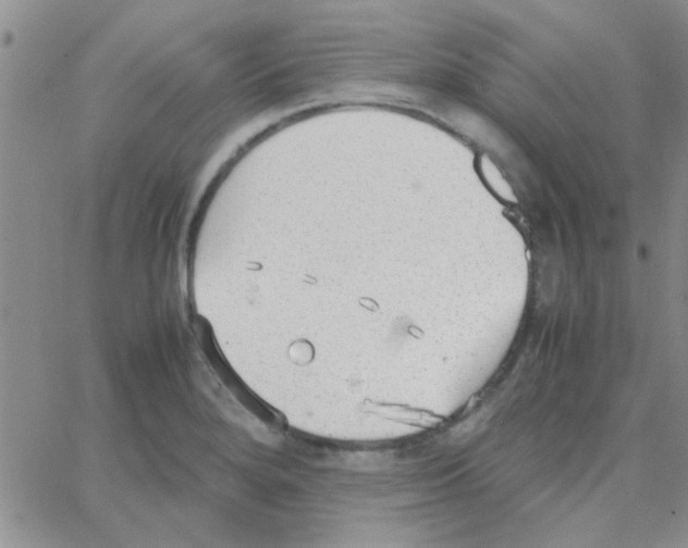 X0000064731280200603131244