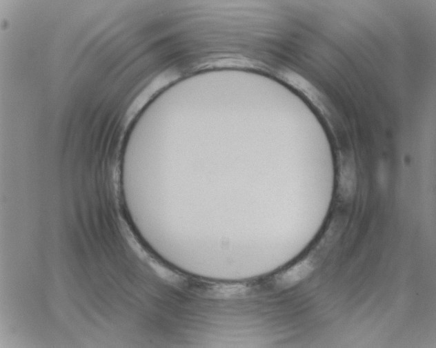 X0000064731282200603131244