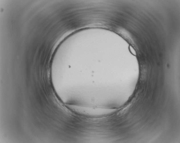 X0000064731284200603131244