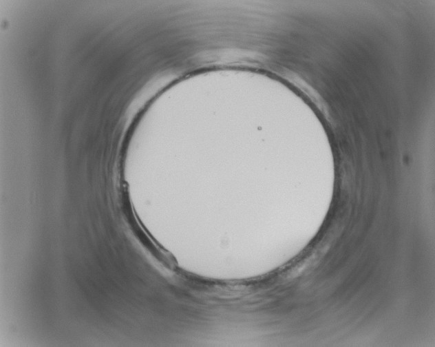 X0000064731285200603131244