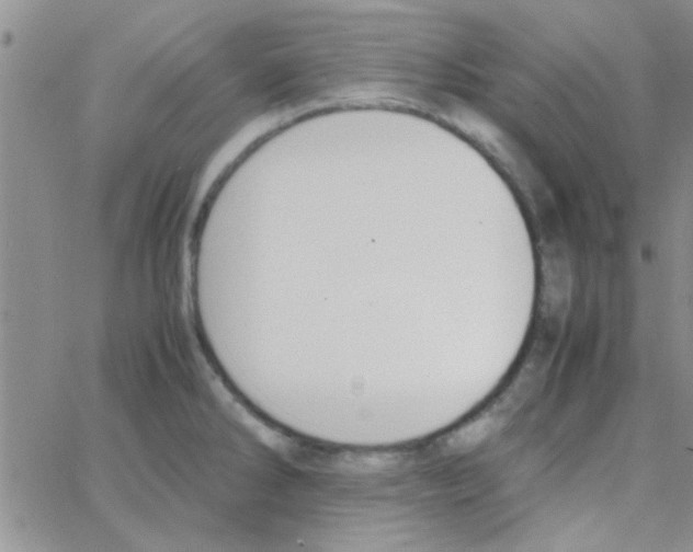 X0000064731286200603131244