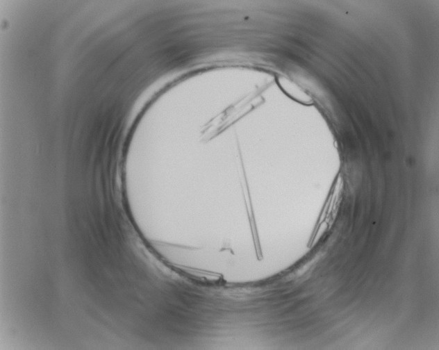 X0000064731288200603131244