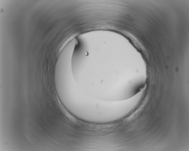 X0000064731289200603131244