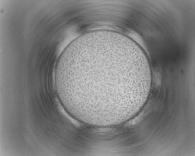 X0000064731290200603131244