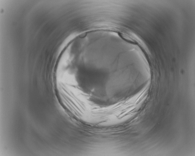 X0000064731291200603131244