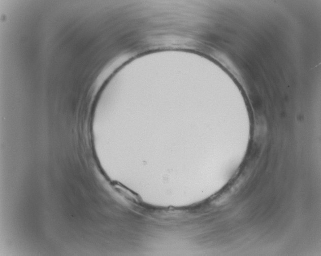 X0000064731293200603131244