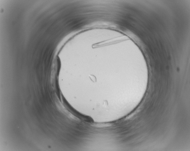 X0000064731296200603131244