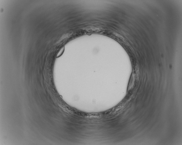 X0000064731297200603131243