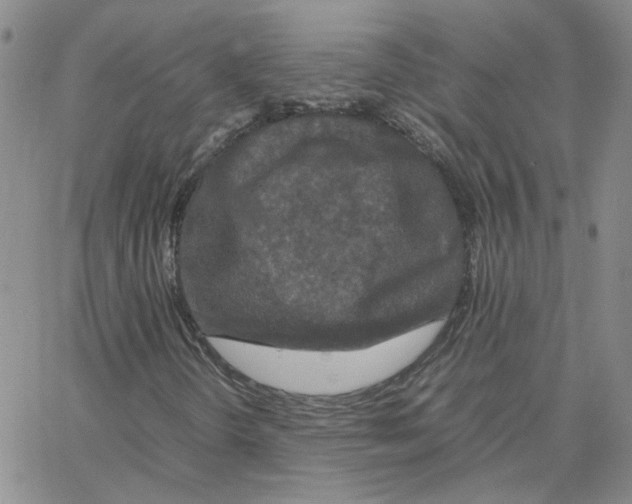 X0000064731298200603131243