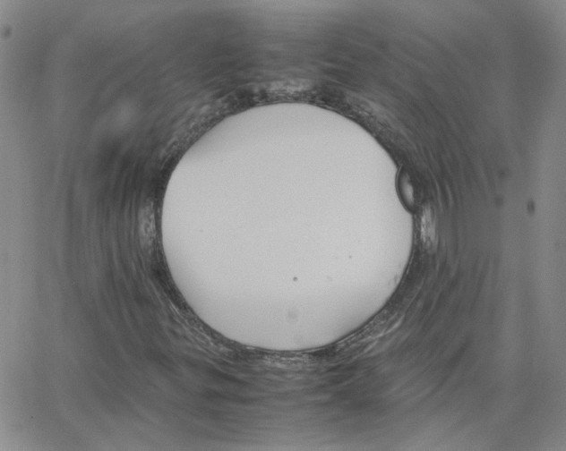 X0000064731299200603131243