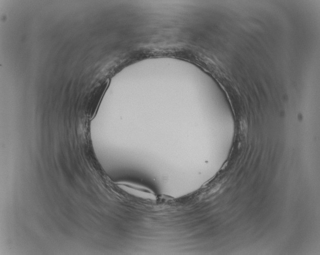 X0000064731300200603131243