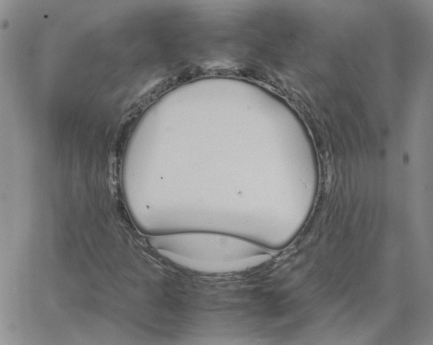 X0000064731301200603131243