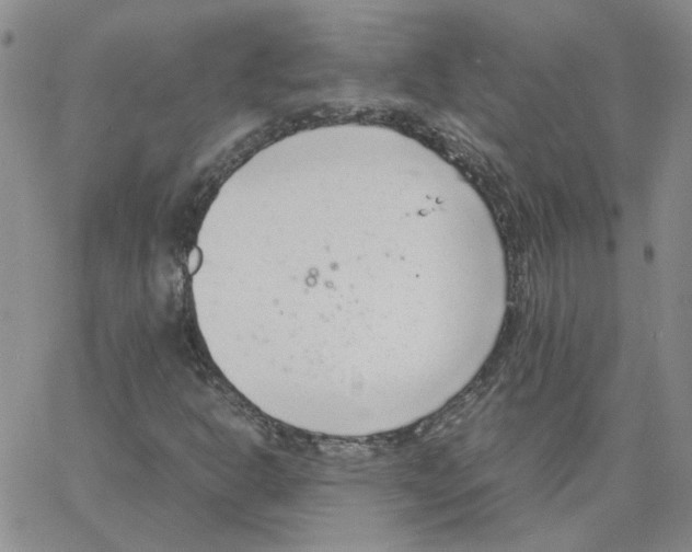 X0000064731302200603131243