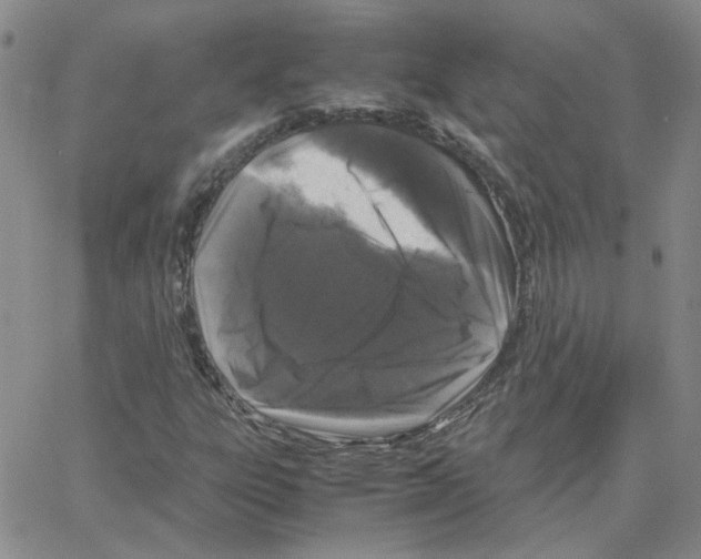 X0000064731303200603131243