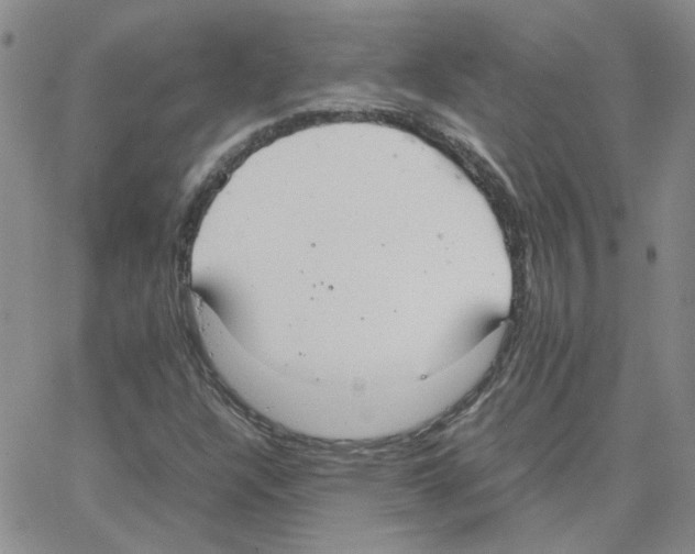 X0000064731304200603131243