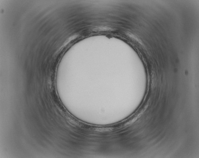 X0000064731305200603131243