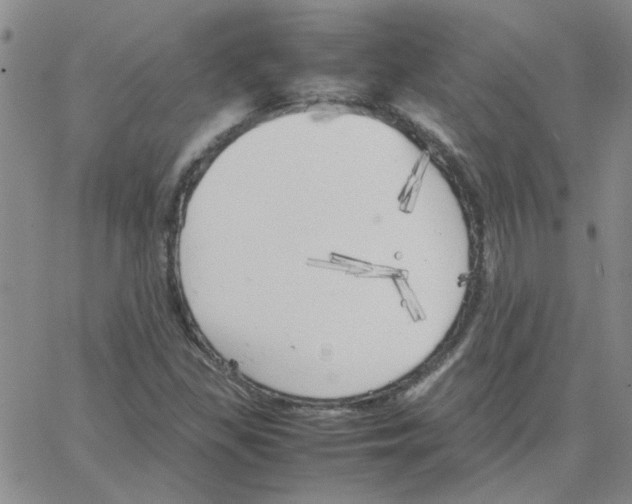 X0000064731309200603131243