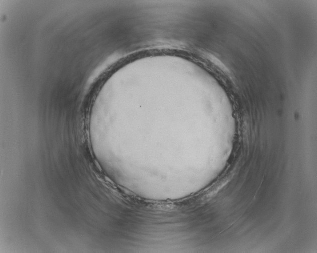 X0000064731310200603131243