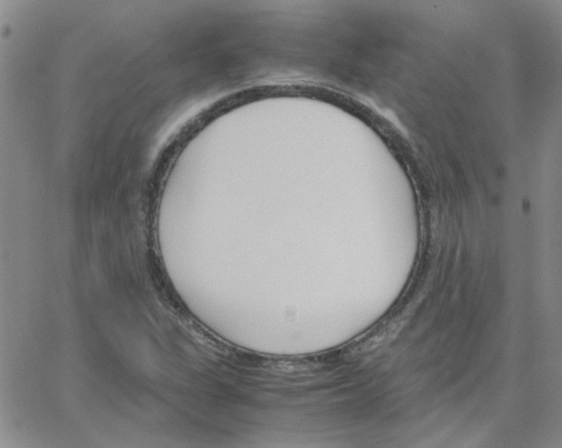 X0000064731311200603131243