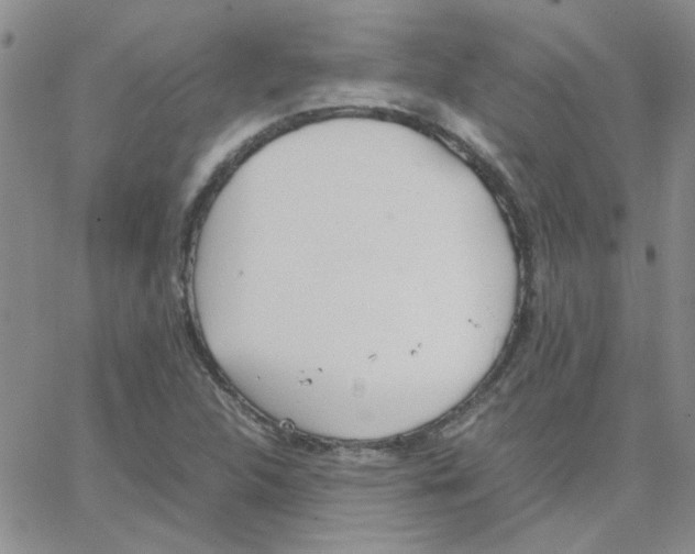 X0000064731312200603131243