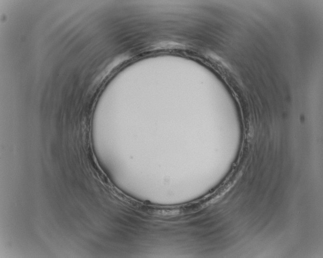 X0000064731313200603131243