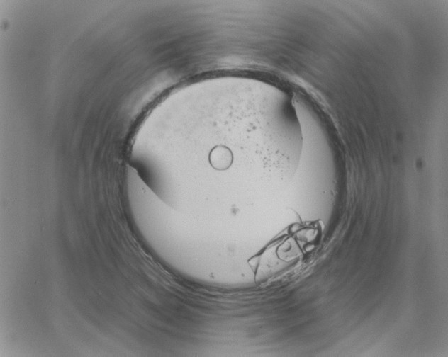 X0000064731314200603131243